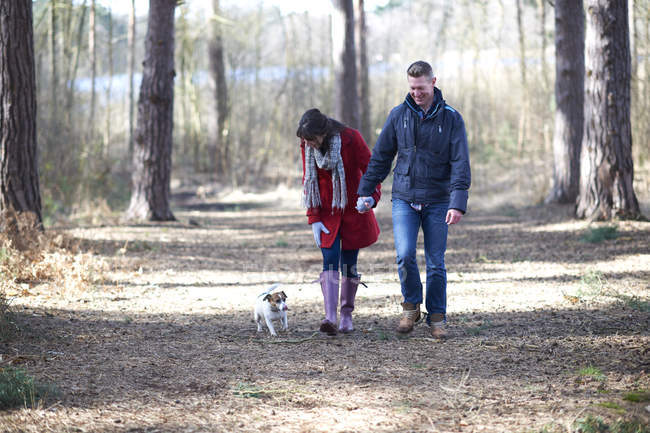 Пара гуляє зі своїм собакою в лісі — стокове фото
