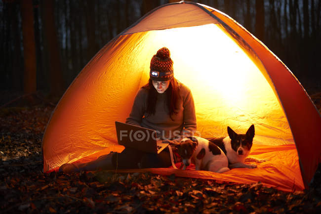 Donna siede in tenda con i cani — Foto stock