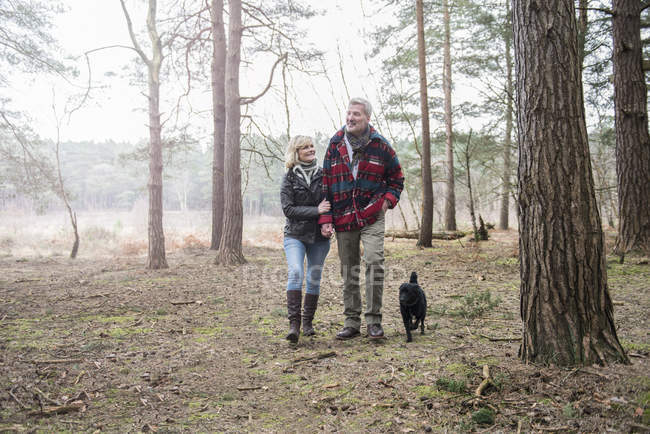 Старша пара насолоджується прогулянкою з собакою — стокове фото