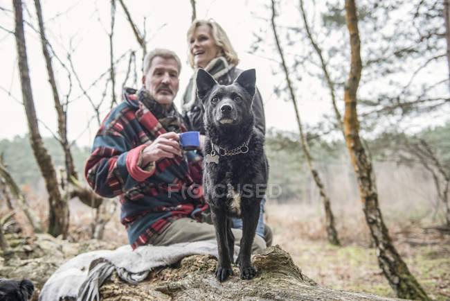 Couple profitant d'une pause avec chien — Photo de stock