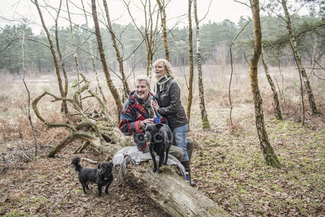 Пара наслаждается отдыхом с собаками — стоковое фото