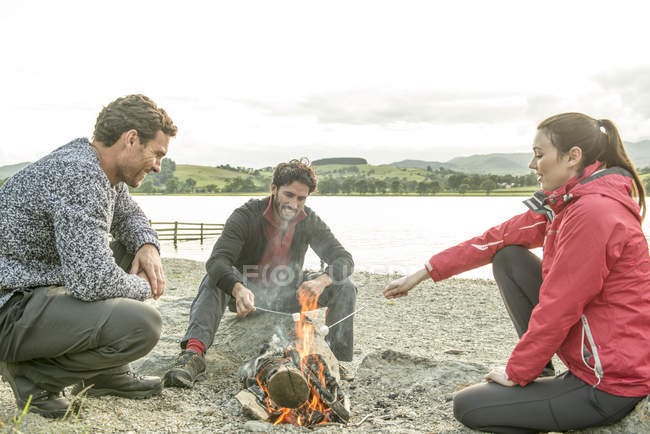 Tres amigos asando malvaviscos en la orilla - foto de stock