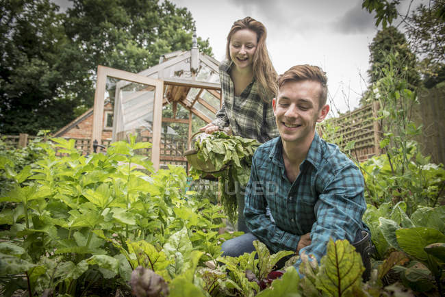 Giardinieri lavorano in orto — Foto stock