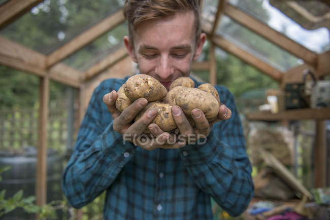 Giardiniere che tiene patate in mano — Foto stock