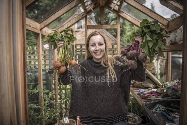 Jardinero trabajando en invernadero - foto de stock