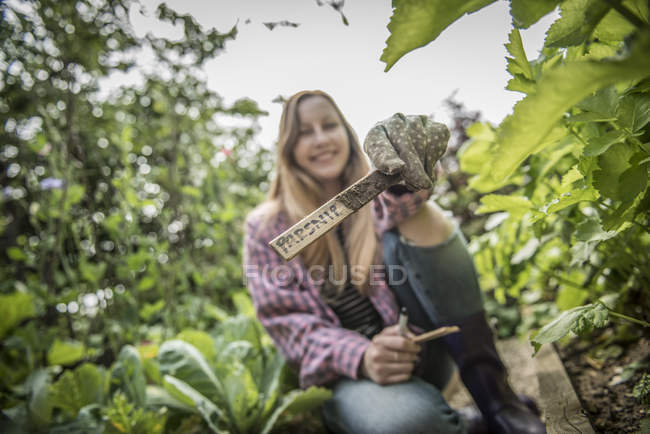 Jardinier travaillant en allotissement — Photo de stock
