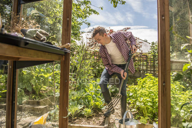 Male gardener works in allotment — Stock Photo