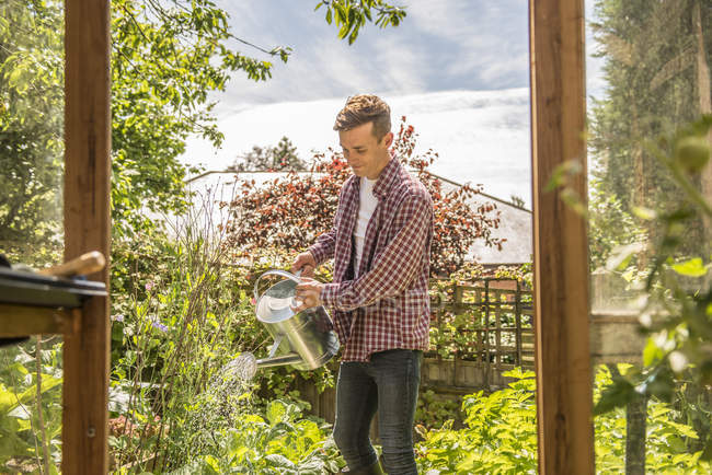 Jardinier masculin travaille en allotissement — Photo de stock