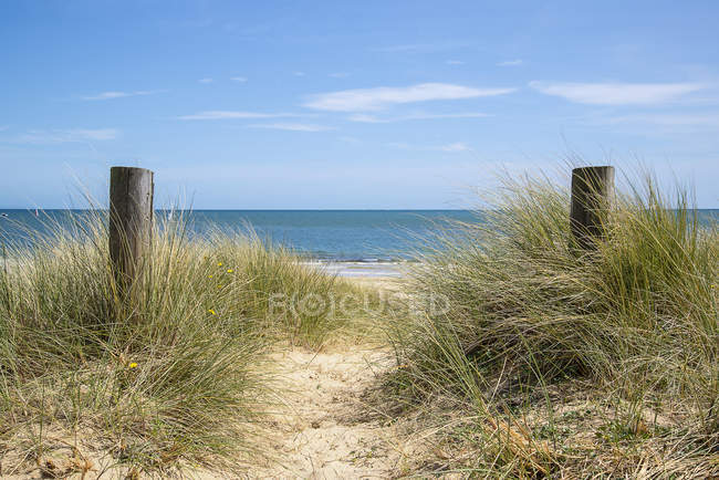 Hermosas dunas de arena y paisaje de playa - foto de stock