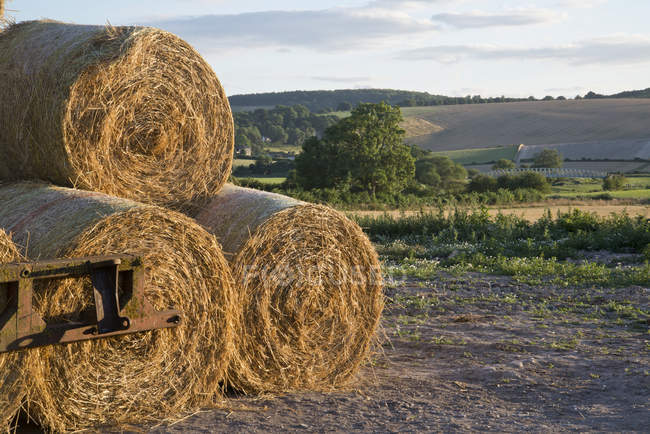 Landscape of hay bales and fields — Stock Photo