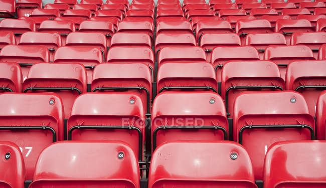 Rows of coloured seats — Stock Photo