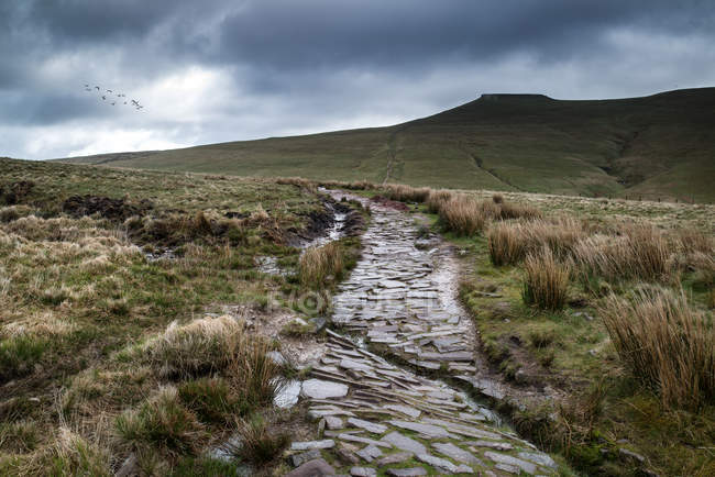 Landscape of Brecon Beacons National Park — Stock Photo