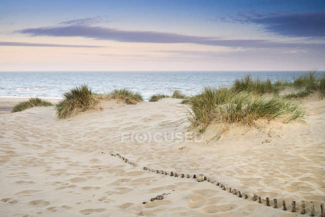 Трава в песчаных дюнах с деревянным забором — стоковое фото