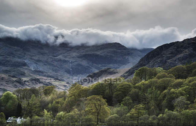 Forest landscape next to Coniston Water — Stock Photo
