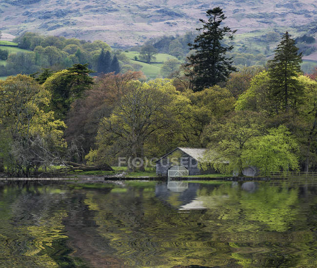 Forest landscape reflected in calm water — Stock Photo