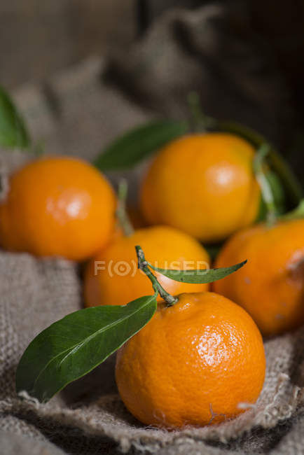 Апельсины на гессенском мешке — стоковое фото