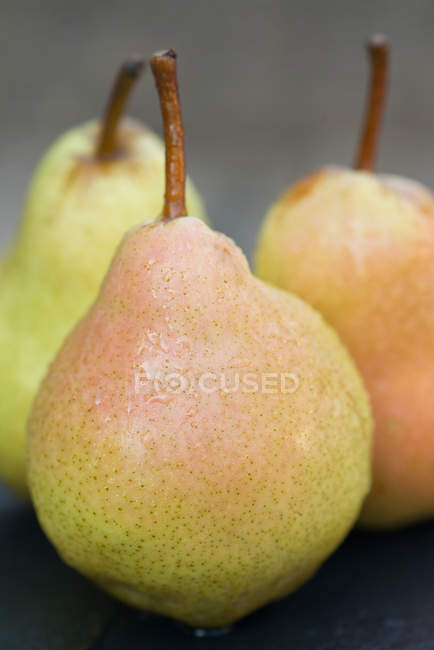 Hermosas peras frescas - foto de stock