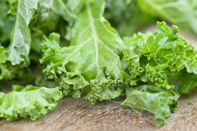 Frisch geschnittene Grünkohlsalatblätter — Stockfoto