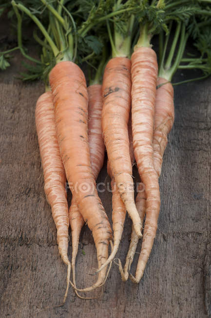 Fresh baby carrots — Stock Photo