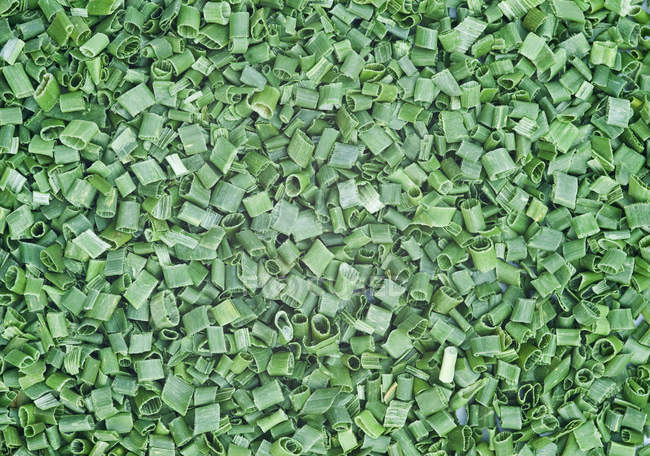 Mucchio di erba cipollina tritata — Foto stock
