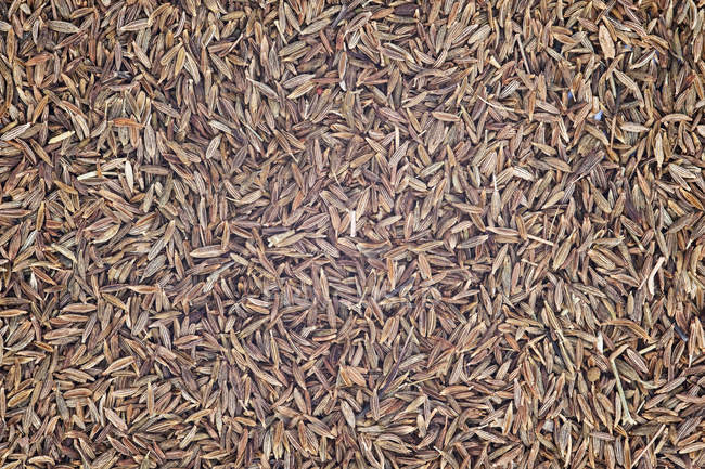 Montón de semillas de comino - foto de stock