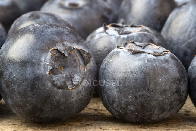 Blueberries de verão fresco — Fotografia de Stock