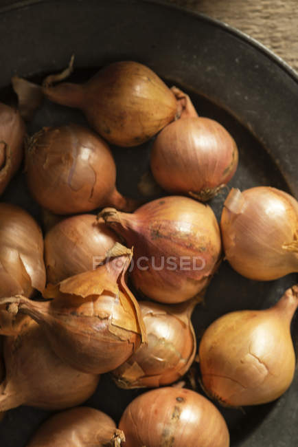 Mucchio di cipolle su piatto — Foto stock