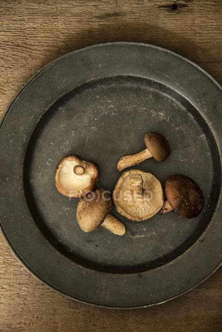 Fresh shiitake mushrooms on plate — Stock Photo