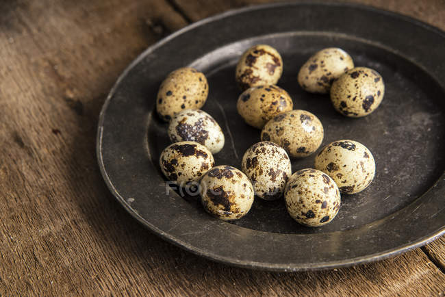 Quaills huevos en el plato - foto de stock