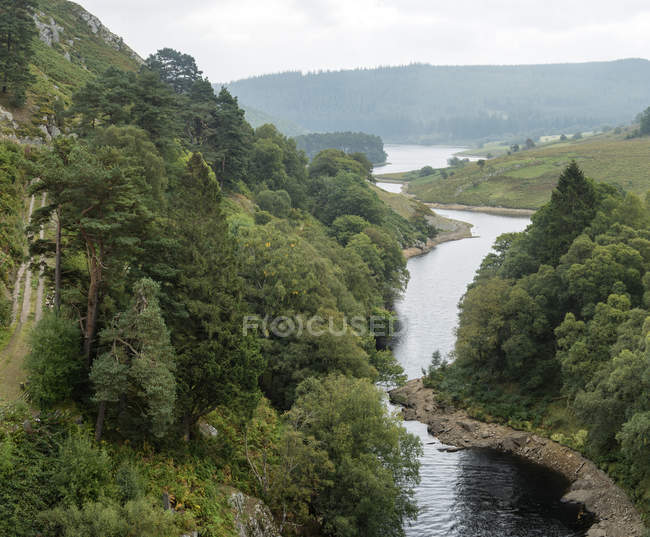 Río que fluye a través del bosque - foto de stock