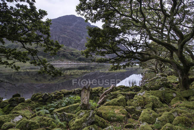 Montaña reflejada en un lago tranquilo - foto de stock