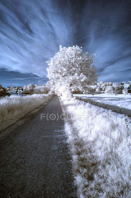 Impresionante paisaje infrarrojo único - foto de stock