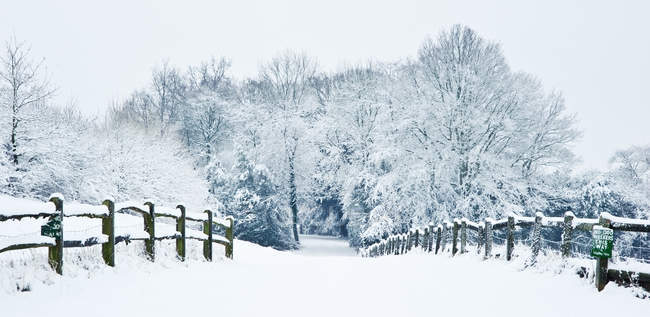 Inverno de neve paisagem rural — Fotografia de Stock