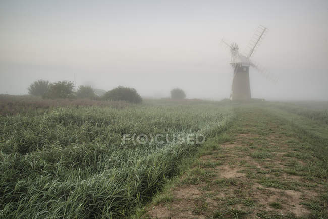 Vecchio mulino a vento nella nebbiosa campagna inglese — Foto stock