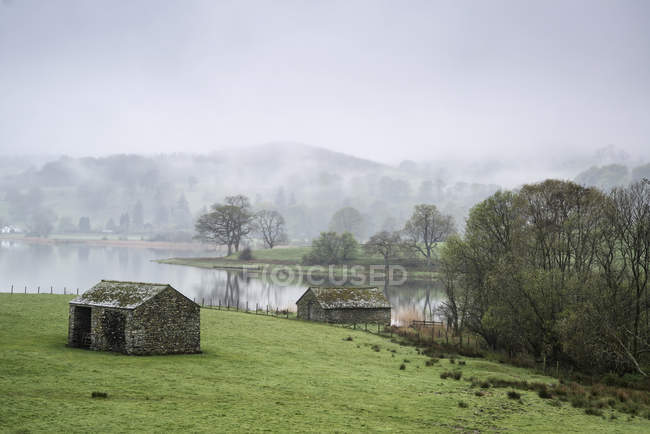 Paysage sur le matin brumeux surplombant les champs — Photo de stock
