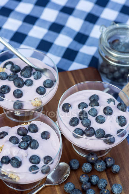 Bleuets frais au yaourt vanillé — Photo de stock