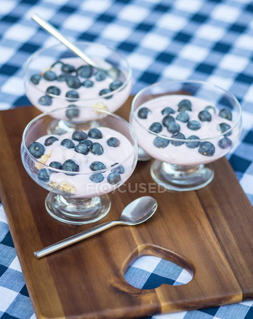 Mirtilos frescos com iogurte de baunilha — Fotografia de Stock