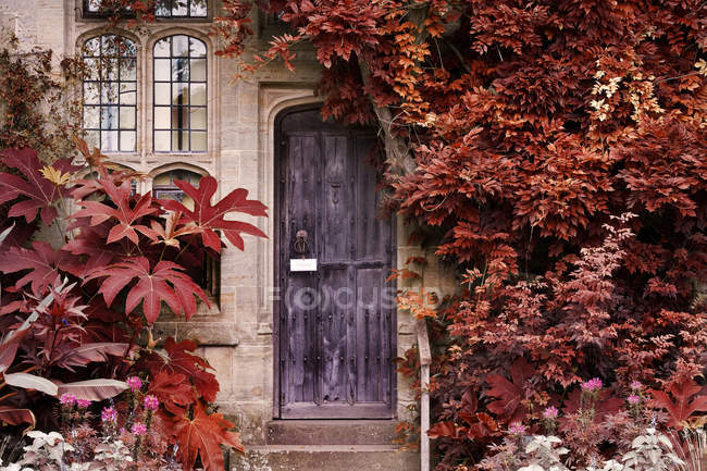 Old wooden door of stone brick house — Stock Photo