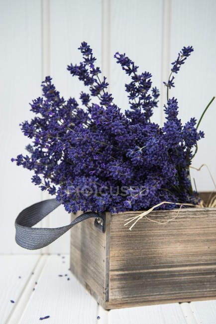 Lavender bunch in rustic home styled setting — Stock Photo