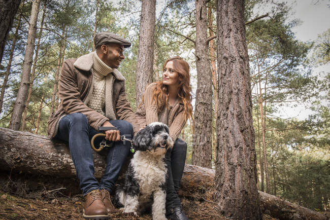 Пара, сидящая на логе с собакой — стоковое фото