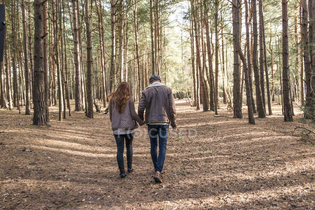 Пара, развлекающаяся во время прогулки по лесу — стоковое фото
