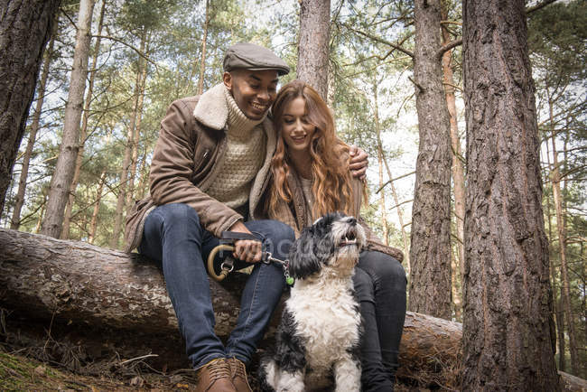 Coppia seduta sul tronco con cane — Foto stock