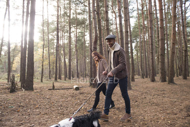 Pareja fuera con perro en bosque paseo - foto de stock