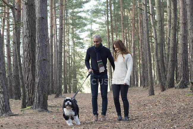Пара з собакою на лісовій прогулянці — стокове фото