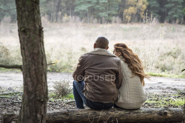 Casal sentado no log na floresta — Fotografia de Stock