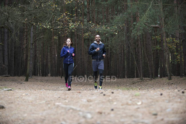 Молодая пара, бегущая через лес — стоковое фото