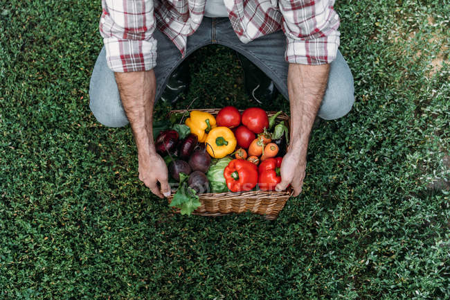 Cesto portarifiuti con verdure — Foto stock