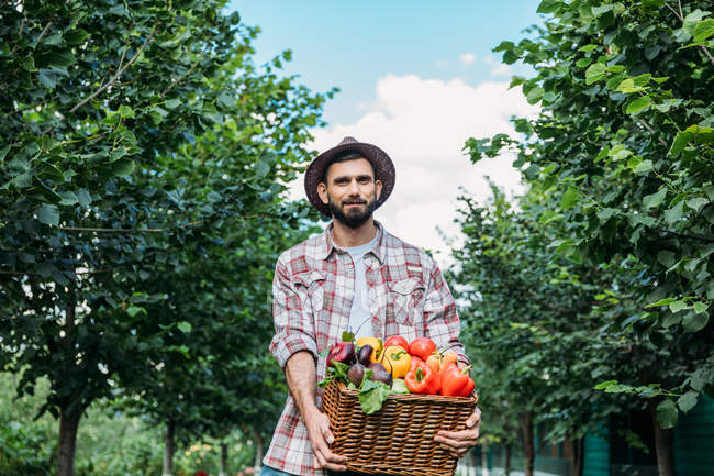 Cesto de exploração do agricultor com legumes — Fotografia de Stock