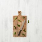 Tabla de cortar de madera, cuchillo y hojas - foto de stock