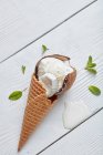 Ванильное мороженое и кокос — стоковое фото
